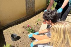 IMG-618e8736988c28cc21db988acc34ae44-V