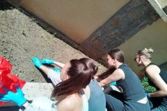 IMG_20260505_113737_HDR