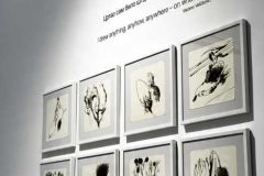 IMG-6f368f39387f199d6e38a796b574249b-V
